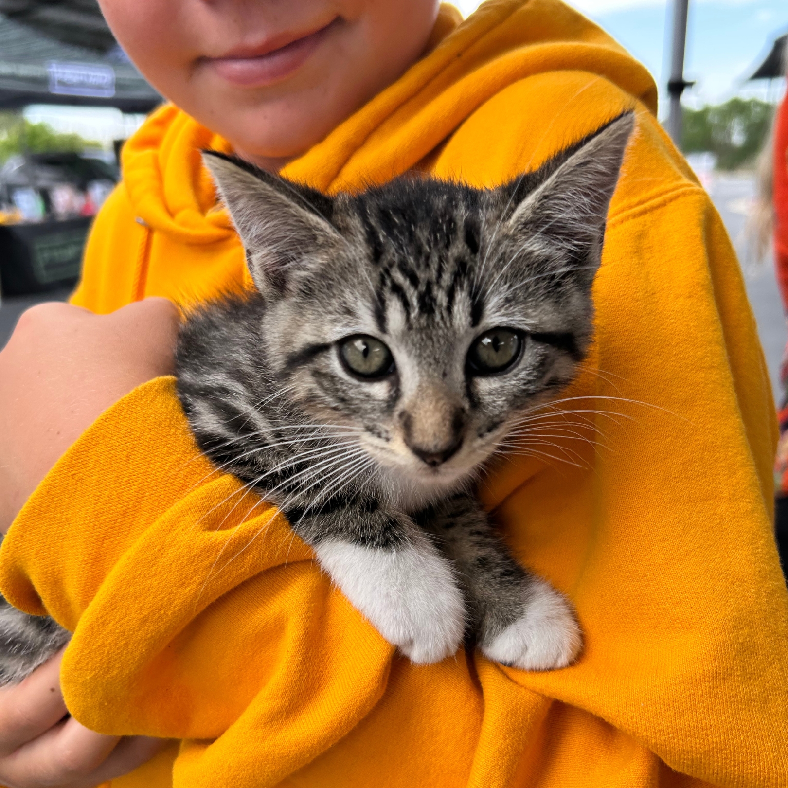 adoption4.jpg