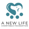a-new-life.png