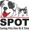 spot-logo-color-1.png