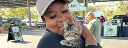 50+ Pet Adoptions!