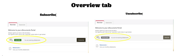 overview tab