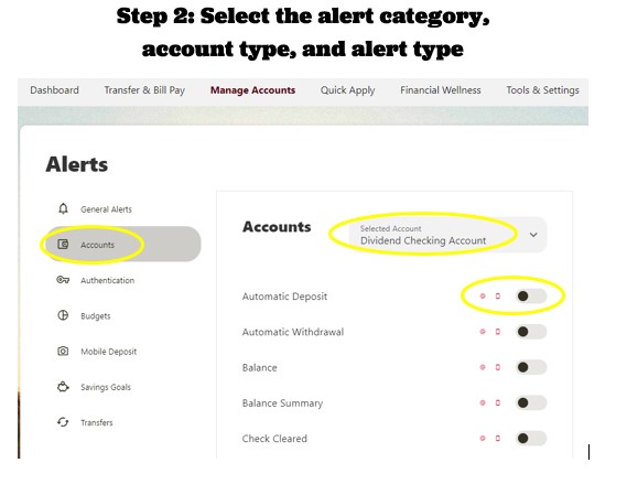 Select the alert category, account type, and alert type