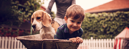 Home Equity Loans